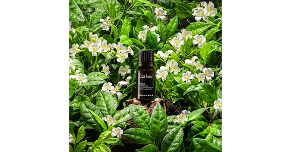 Neroli essential oil - An able health booster