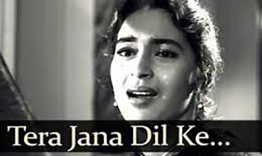 तेरा जाना दिल के अरमानों Tera Jana Lyrics in Hindi - Anari